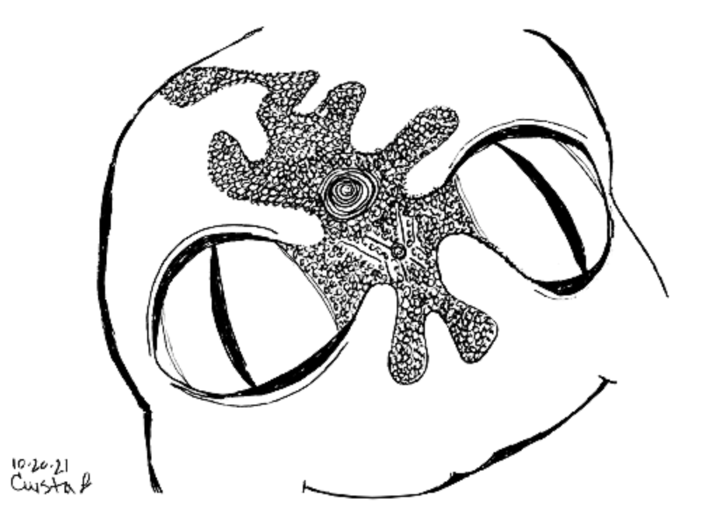 Cute Alien Head Abstract Drawing - Cute & Creepy Stay Weird Cartoon Illustrations